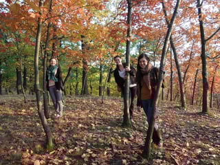 how to make friends while you are studying abroad